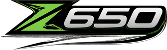 Logo z650